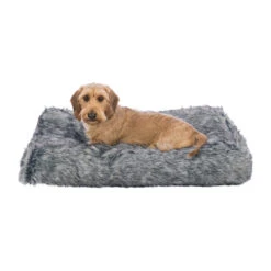 Trixie Kussen Yelina -Beste Hondenartikelen Winkel trixie kussen yelina 216146 2000 none