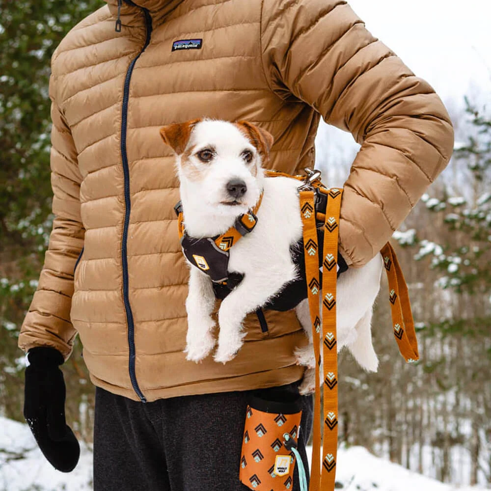 Woolly Wolf Sea To Summit Hondenriem 6 Woolly Wolf Sea To Summit Hondenriem - Afbeelding 4