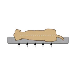 Beeztees Memory Foam Uma Hondenmand -Beste Hondenartikelen Winkel xInkB5LAKhtOZjoEaSl8J9DhKXqRsf metaQmVlenRlZXMtTWVtb3J5LUZvYW0tVW1hLUhvbmRlbm1hbmQtb3J0aG9wZWRpc2NoLTIuanBn