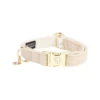 Kentucky Dogwear Hondenhalsband Wool -Beste Hondenartikelen Winkel xPYgBV7umMRoUJbq4ipqUtRJySsUiP metaS2VudHVja3ktRG9nd2Vhci1Ib25kZW5oYWxzYmFuZC1Xb29sLWJlaWdlLnBuZw