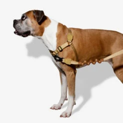 Zee.Dog Soft Walk Harness -Beste Hondenartikelen Winkel zeedog soft walk harness 200678 1000 none