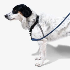 Zee.Dog Soft Walk Harness -Beste Hondenartikelen Winkel zeedog soft walk harness 200684 1000 none