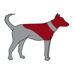 ZenPet Pro Collar -Beste Hondenartikelen Winkel zenpet pro collar 193865 0500 none