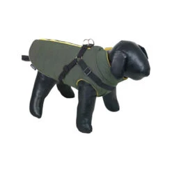 Nobby Hondenjas Sobak -Beste Hondenartikelen Winkel zfANZ9X8QmVKtjtz2X3OCjSc3mM0kN metabm9iYnlfaG9uZGVuamFzX3NvYmFrXzIxNjkxOF8wNTAwX25vbmUuanBn