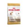 Royal Canin Beagle Adult - Hondenvoer -Beste Hondenartikelen Winkel 5f9583ca4e1672cef3c88d9e229ff59f43922d9d547f1f0e0a99d5e09ee326da 5
