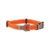 Carhartt Tradesman Dog Collar -Beste Hondenartikelen Winkel carhartt tradesman dog collar oranje l 113239 0500 none