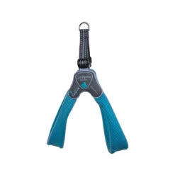 Coralpina Harnas Cinquetorri Mini -Beste Hondenartikelen Winkel coralpina harnas cinquetorri mini turquoise m 133836 2000 none