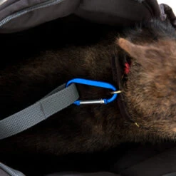 Doctor Bark Dog Carrier Bag -Beste Hondenartikelen Winkel doctor bark honden draagtas 202157 1500 none