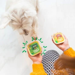 Edgard & Cooper Adult - Lam & Rund - Kuipje -Beste Hondenartikelen Winkel edgard cooper adult lam rund kuipje 168636 2000 none