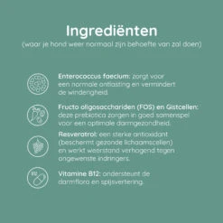 Greenfields Probiotics+ 13 Greenfields Probiotics+ -Beste Hondenartikelen Winkel greenfields probiotics 208376 2000 none