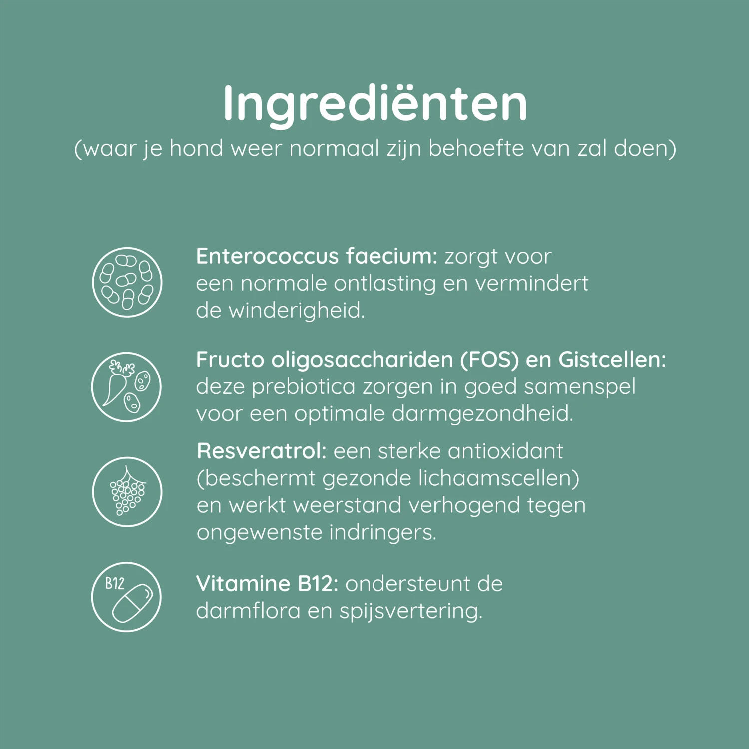 Greenfields Probiotics+ 8 Greenfields Probiotics+ - Afbeelding 6