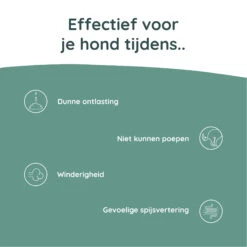 Greenfields Probiotics+ 12 Greenfields Probiotics+ -Beste Hondenartikelen Winkel greenfields probiotics 208382 2000 none