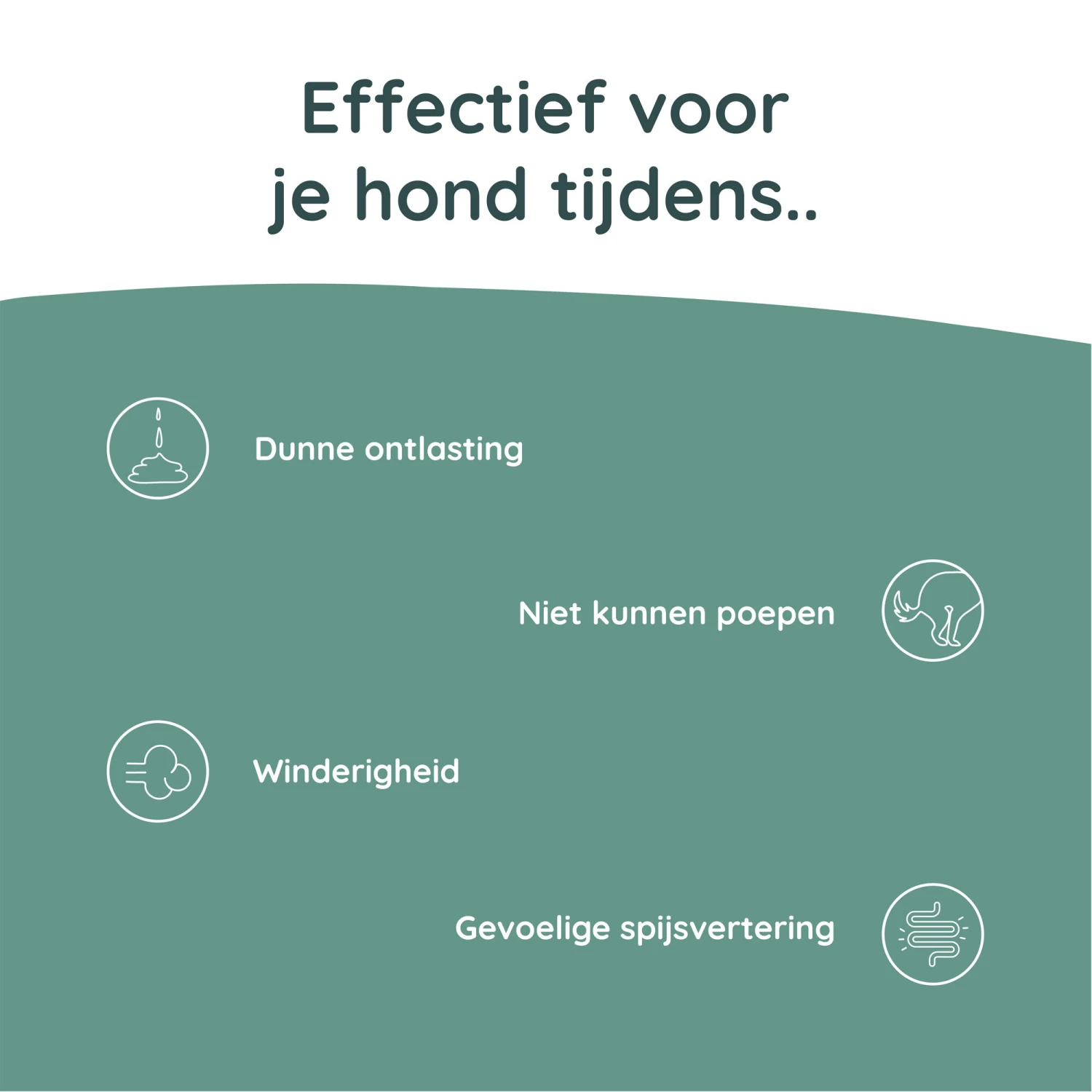 Greenfields Probiotics+ 7 Greenfields Probiotics+ - Afbeelding 5