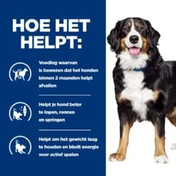 Hill's Metabolic + Mobility - Prescription Diet - Canine -Beste Hondenartikelen Winkel hills metabolic mobility prescription diet canine 212765 2000 none