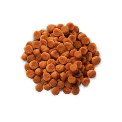 Phytonics L-Lysine Comp -Beste Hondenartikelen Winkel hills yd thyroid care prescription diet feline 147524 1000 none