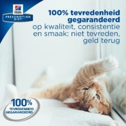 Phytonics L-Lysine Comp -Beste Hondenartikelen Winkel hills yd thyroid care prescription diet feline 147542 0500 none