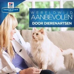 Phytonics L-Lysine Comp -Beste Hondenartikelen Winkel hills yd thyroid care prescription diet feline 147551 0500 none