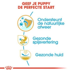Royal Canin French Bulldog Puppy - Hondenvoer -Beste Hondenartikelen Winkel royal canin french bulldog puppy hondenvoer 138715 1000 none