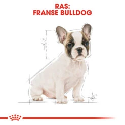 Royal Canin French Bulldog Puppy - Hondenvoer -Beste Hondenartikelen Winkel royal canin french bulldog puppy hondenvoer 138724 1000 none