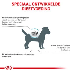 Royal Canin Hypoallergenic Kleine Hond -Beste Hondenartikelen Winkel royal canin hypoallergenic kleine hond 205538 2000 none