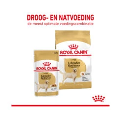 Royal Canin Labrador Retriever Adult Wet -Beste Hondenartikelen Winkel royal canin labrador retriever adult wet 165763 2000 none