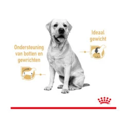 Royal Canin Labrador Retriever Adult Wet -Beste Hondenartikelen Winkel royal canin labrador retriever adult wet 165781 2000 none