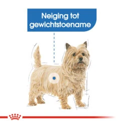 Royal Canin Light Weight Care Wet - Hondenvoer -Beste Hondenartikelen Winkel royal canin light weight care wet hondenvoer 131435 1000 none