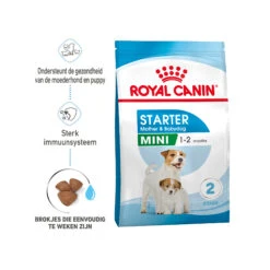 Royal Canin Mini Starter Mother & Babydog - Hondenvoer 16 Royal Canin Mini Starter Mother & Babydog - Hondenvoer -Beste Hondenartikelen Winkel royal canin mini starter mother babydog hondenvoer 206978 2000 none