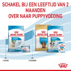 Royal Canin Mini Starter Mother & Babydog - Hondenvoer 21 Royal Canin Mini Starter Mother & Babydog - Hondenvoer -Beste Hondenartikelen Winkel royal canin mini starter mother babydog hondenvoer 206993 2000 none