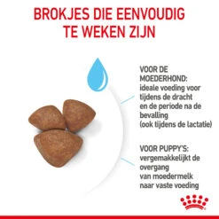 Royal Canin Mini Starter Mother & Babydog - Hondenvoer 20 Royal Canin Mini Starter Mother & Babydog - Hondenvoer -Beste Hondenartikelen Winkel royal canin mini starter mother babydog hondenvoer 206996 2000 none