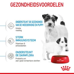 Royal Canin Mini Starter Mother & Babydog - Hondenvoer 19 Royal Canin Mini Starter Mother & Babydog - Hondenvoer -Beste Hondenartikelen Winkel royal canin mini starter mother babydog hondenvoer 206999 2000 none