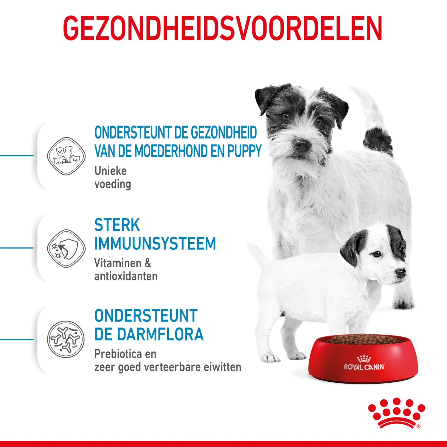 Royal Canin Mini Starter Mother & Babydog - Hondenvoer 8 Royal Canin Mini Starter Mother & Babydog - Hondenvoer - Afbeelding 6