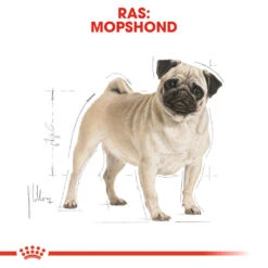 Royal Canin Pug Adult - Hondenvoer -Beste Hondenartikelen Winkel royal canin pug adult hondenvoer 139804 1000 none