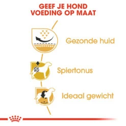Royal Canin Pug Adult - Hondenvoer -Beste Hondenartikelen Winkel royal canin pug adult hondenvoer 139822 1000 none