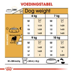 Royal Canin Pug Adult - Hondenvoer -Beste Hondenartikelen Winkel royal canin pug adult hondenvoer 139840 1000 none