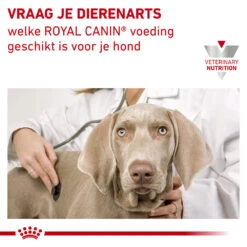 Royal Canin Urinary UC Low Purine Hond -Beste Hondenartikelen Winkel royal canin urinary uc low purine hond 153664 1000 none