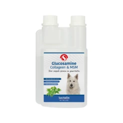 Sectolin Glucosamine, Collageen & MSM Hond