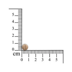 Sensipharm Gastro Entero Comfort -Beste Hondenartikelen Winkel sensipharm gastro entero comfort 174637 1000 none