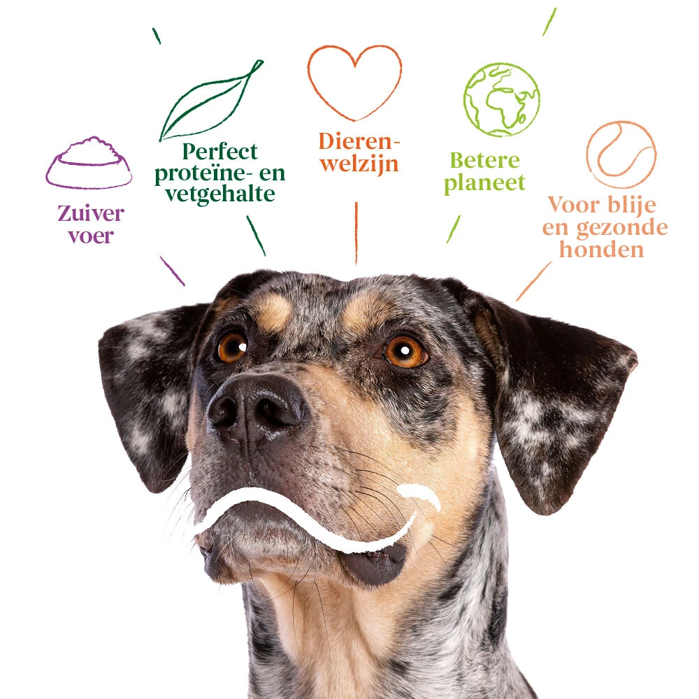 Yarrah - Bio Droogvoer Hond Vega Graanvrij 7 Yarrah - Bio Droogvoer Hond Vega Graanvrij - Afbeelding 5